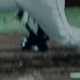 Image for article titled Breaking Down The Craziest Half-Inning In Television History